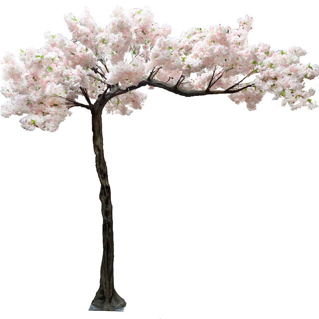 BLOSSOM TREE, Freestanding 3.2m H & 2.6m Spread